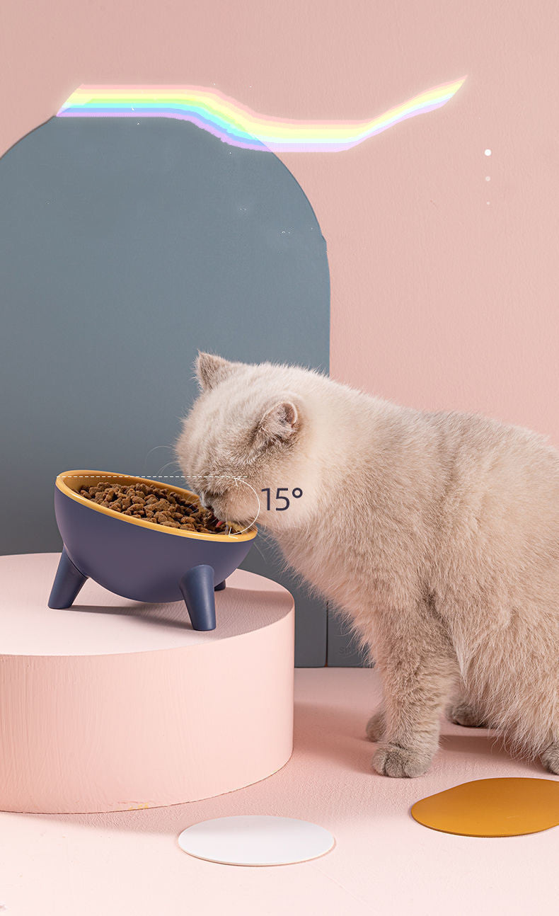 Bowl With Stand Pet Feeder