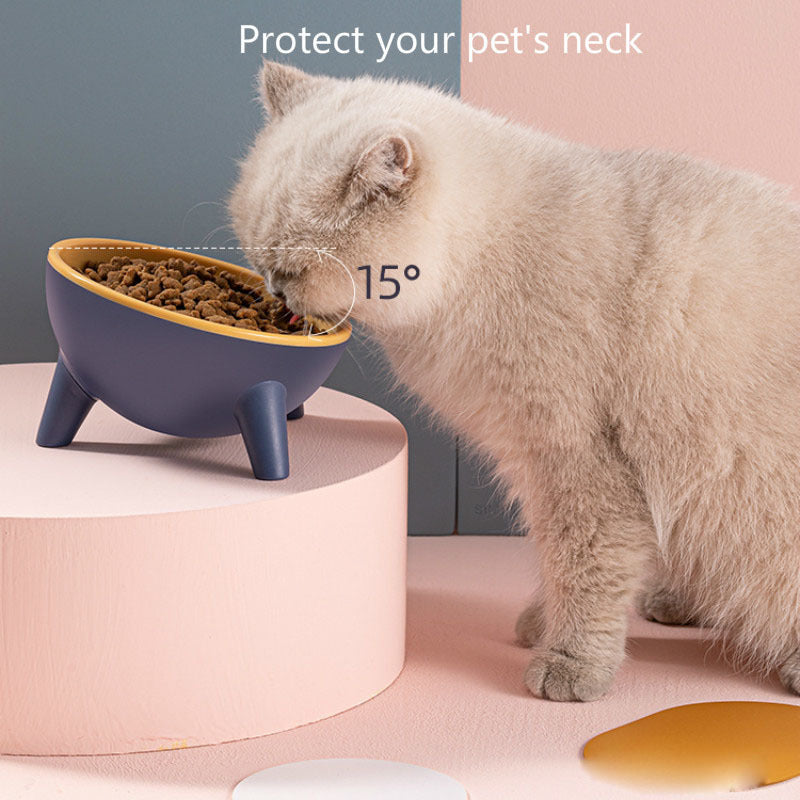 Bowl With Stand Pet Feeder