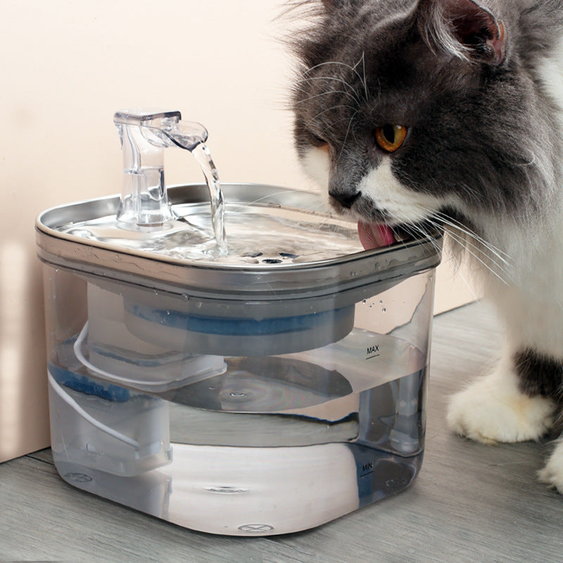 Automatic pet Water Dispenser