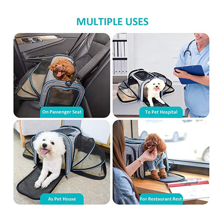 Pet Airline Approved travel carrier