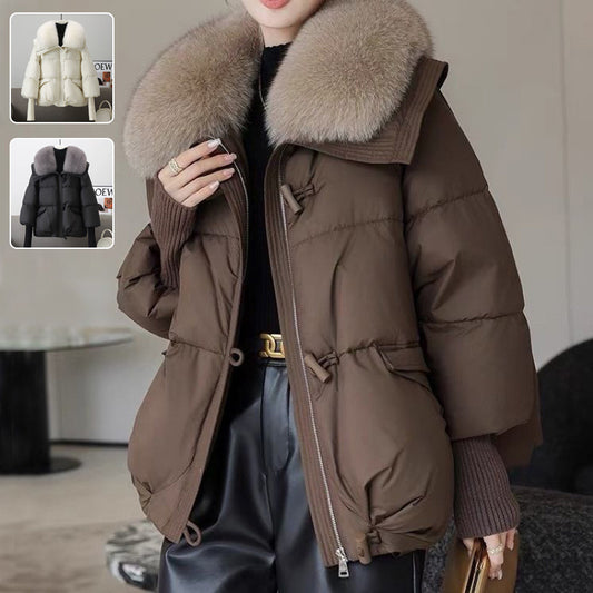 Cotton-padded Jacket