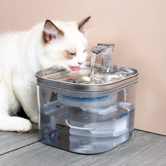 Automatic pet Water Dispenser