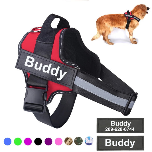 Pet Harness