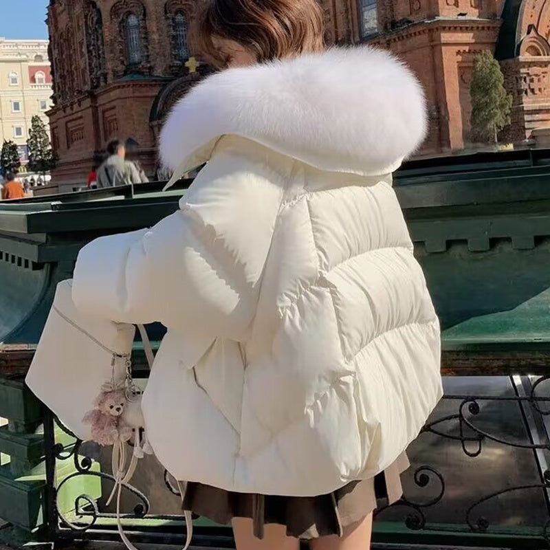 Cotton-padded Jacket