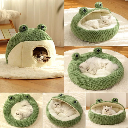 Pet frog nest