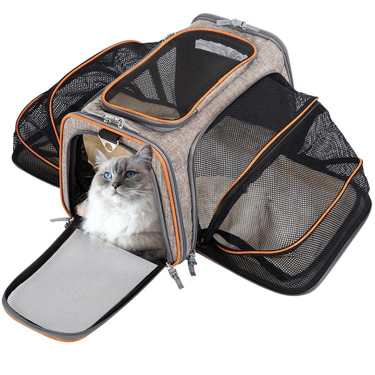 Pet Airline Approved travel carrier