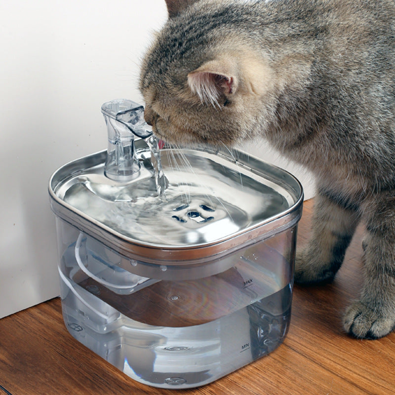 Automatic pet Water Dispenser